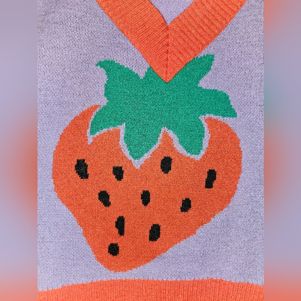 Urban Outfitters Strawberry Purple Vest with Red Trim - Picture 3 of 4